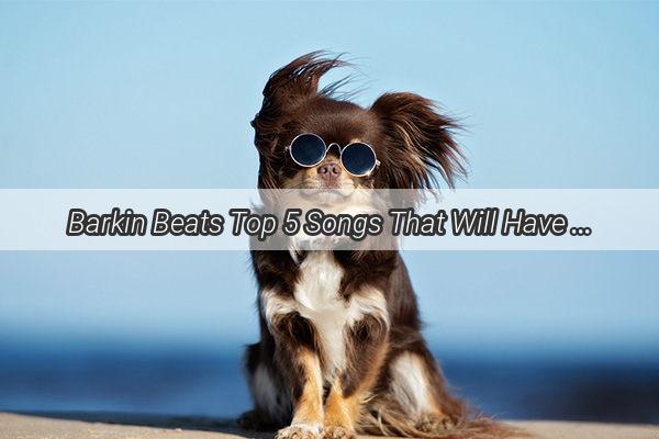 Barkin Beats Top 5 Songs That Will Have Your Pup Dancing in Joy